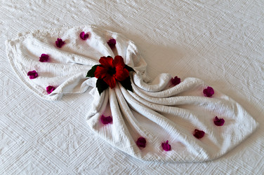 Similar image 1319993