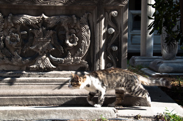 Similar image 1319995