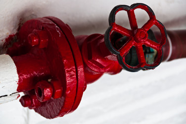 Similar image 1320015