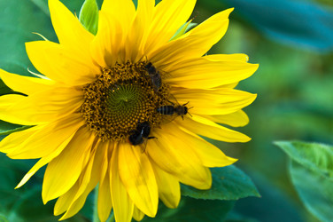 Similar image 1320027