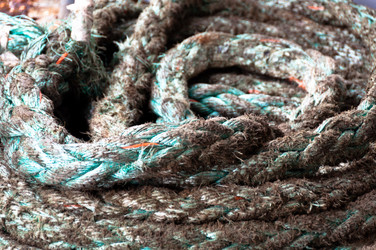 Similar image 1320052