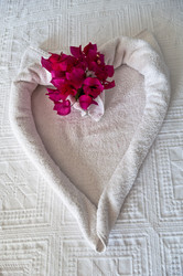 Similar image 1320053