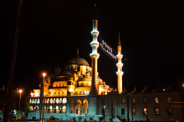 Similar image 1320054