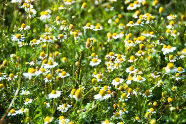 Similar image 1320058