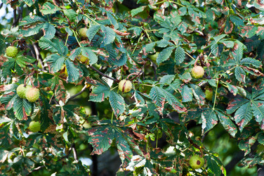 Similar image 1320071