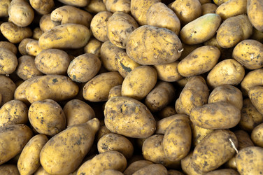 Similar image 1320073