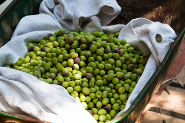 Similar image 1320074