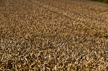 Similar image 1320090