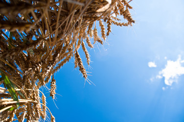 Similar image 1320091