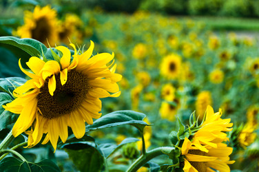 Similar image 1320096