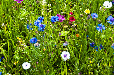 Similar image 1320098