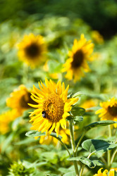 Similar image 1320103