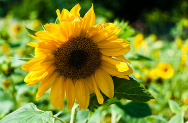 Similar image 1320104