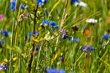 Similar image 1320105