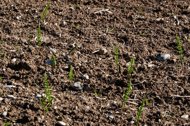 Similar image 1320130