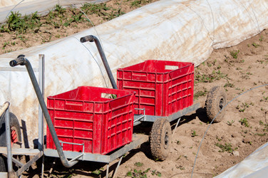 Similar image 1320140