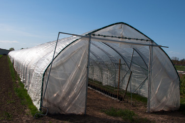 Similar image 1320142