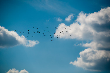 Similar image 1320158