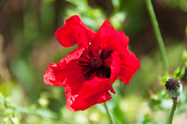 Similar image 1320163