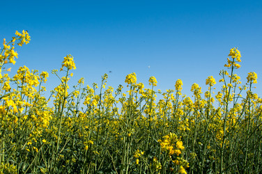 Similar image 1320180