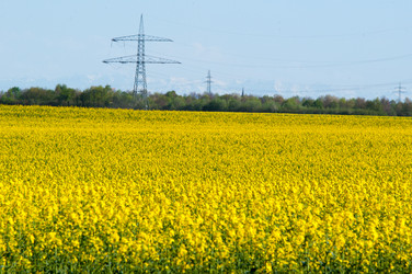 Similar image 1320181