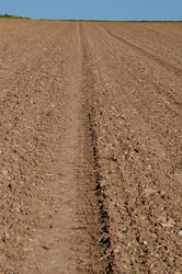 Similar image 1320182