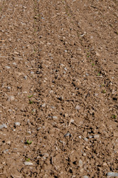 Similar image 1320184