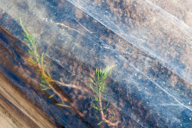 Similar image 1320185