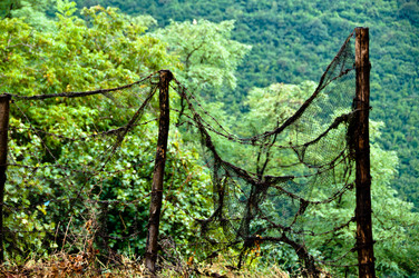 Similar image 1320189