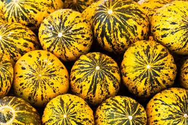 Similar image 1320190