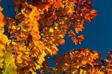 Similar image 1320196