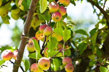 Similar image 1320197