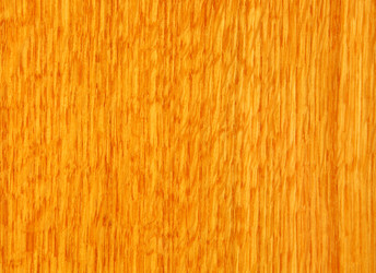 Similar image 1320208