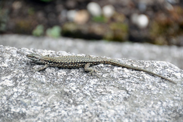 Similar image 1320471