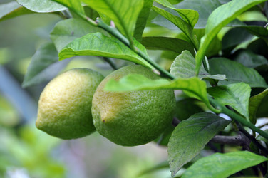 Similar image 1320474