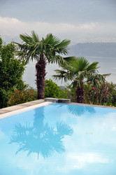 Similar image 1320483