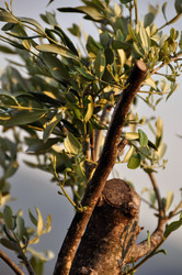 Similar image 1320485