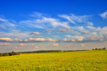 Similar image 1320596