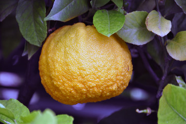 Similar image 1320609