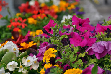 Similar image 1320611