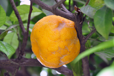 Similar image 1320617