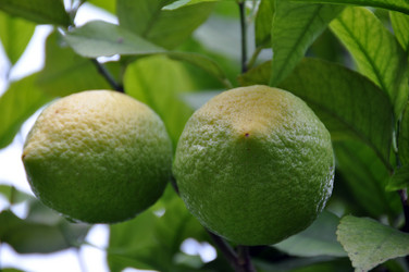 Similar image 1320630