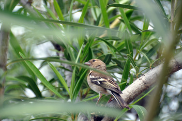 Similar image 1320632