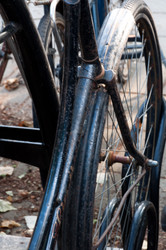 Similar image 1320640