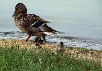 Similar image 1320682