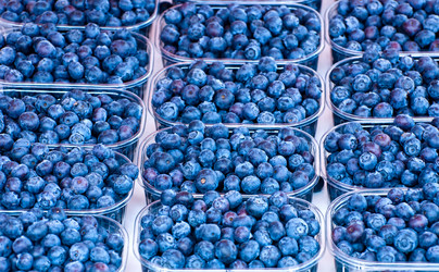 Similar image 1320695