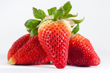 Similar image 1320714