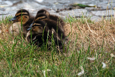 Similar image 1320731