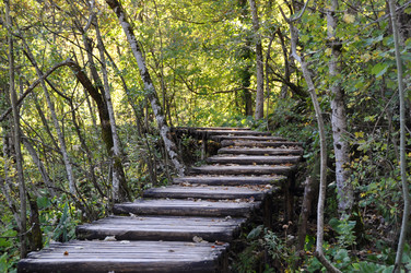 Similar image 1320740