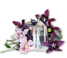 Similar image 1320807